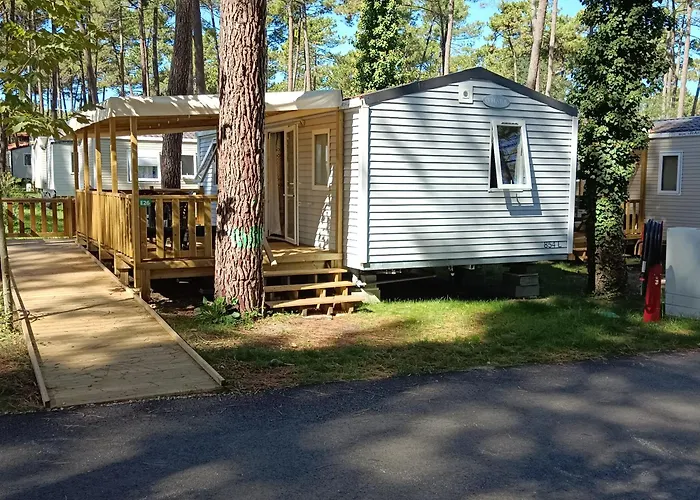 Mobil\'Home Pmr Sous Les Pins !